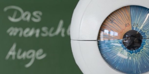 Ein Augenarzt kann helfen, Sehprobleme zu lösen.