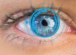 ein Auge