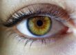 ein einzelnes Auge